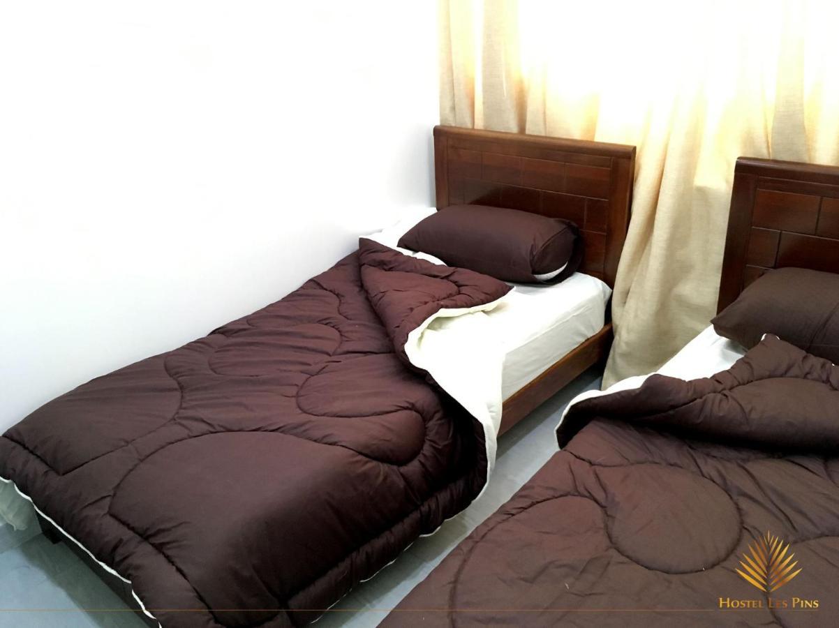 Hostel Les Pins Alger エクステリア 写真